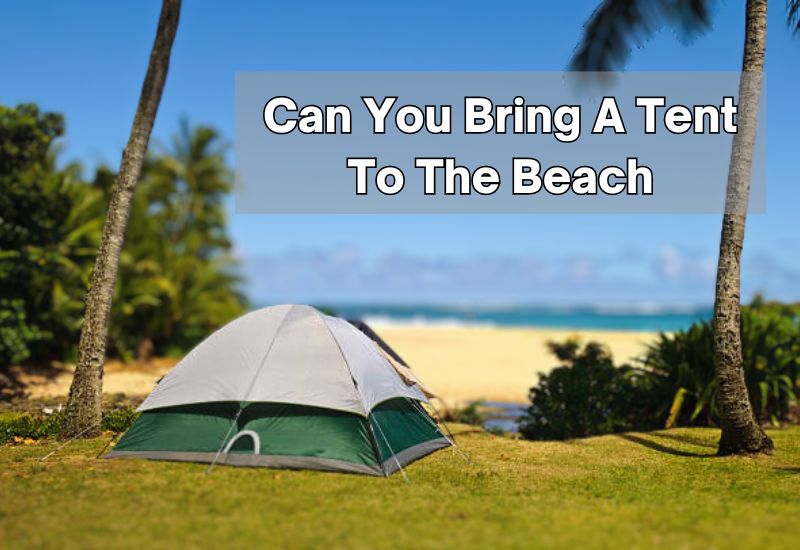 Can You Bring A Tent To The Beach
