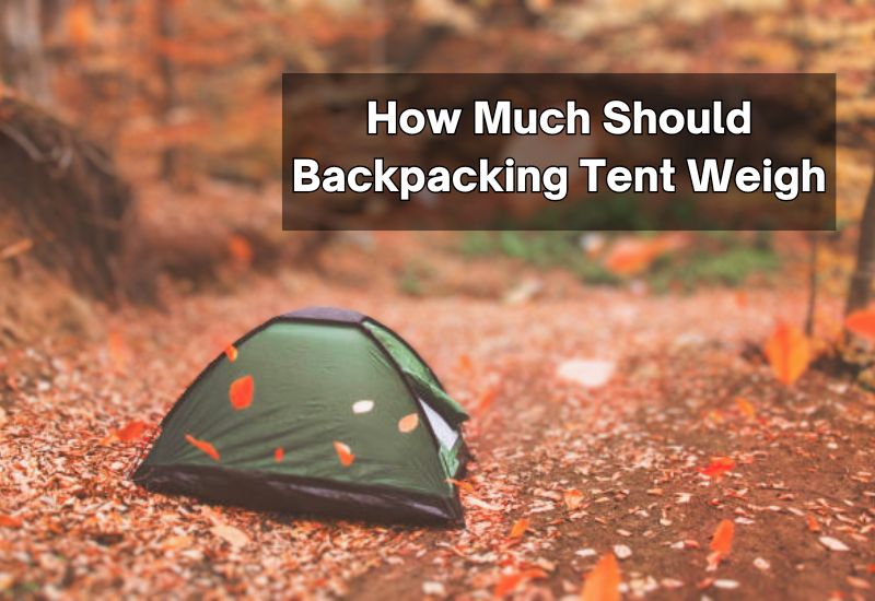 How Much Should Backpacking Tent Weigh