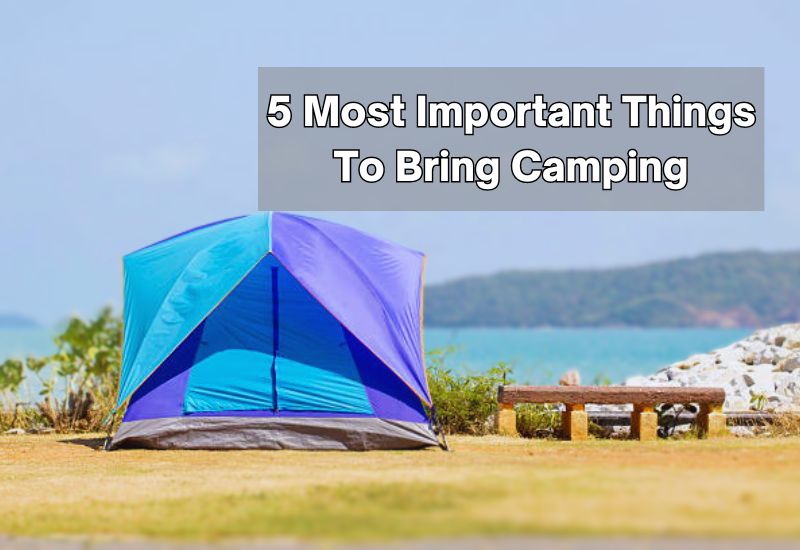 5 Most Important Things To Bring Camping