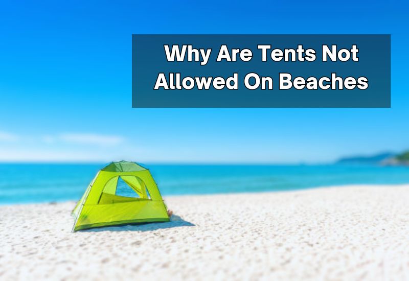 Why Are Tents Not Allowed On Beaches